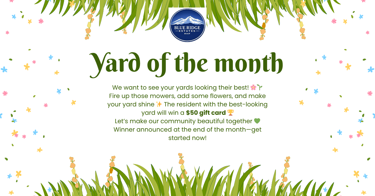 Yard of the Month